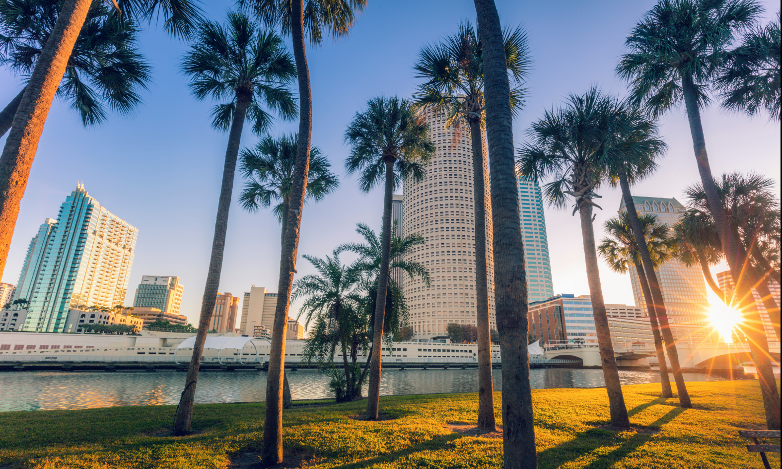 Rock Solid Group Tampa skyline hero